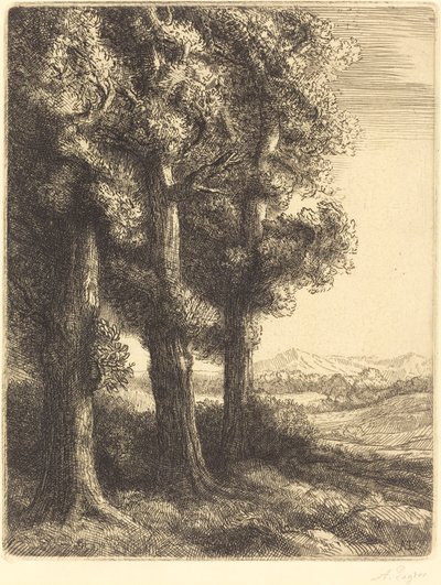 Ecke eines Waldes von Alphonse Legros
