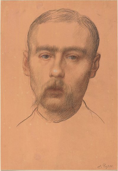 Kopf eines Mannes (mögliches Porträt von Professor E.D. Adams) von Alphonse Legros