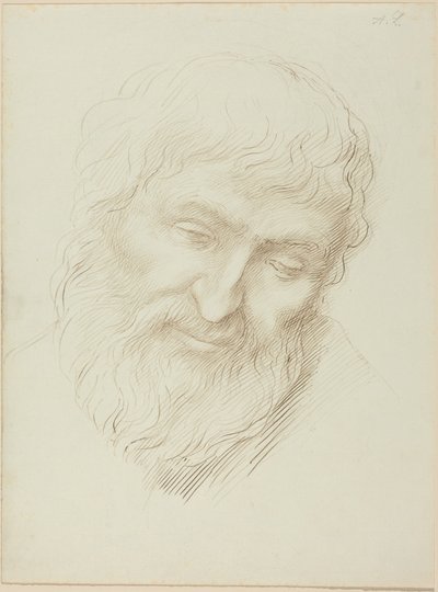 Kopf eines Mannes von Alphonse Legros