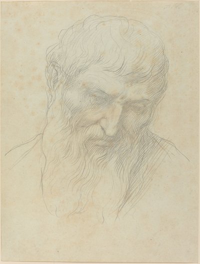 Kopf eines Mannes mit lockigem Haar und Bart von Alphonse Legros