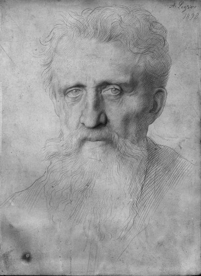 Kopf eines Mannes mit langem Bart, 1898 von Alphonse Legros