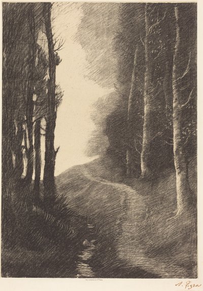 Landschaft mit Birken von Alphonse Legros