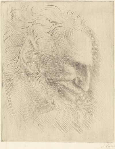 Studie für den Kopf eines Mannes von Alphonse Legros