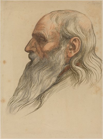 Studie eines Männerkopfes mit Vollbart von Alphonse Legros