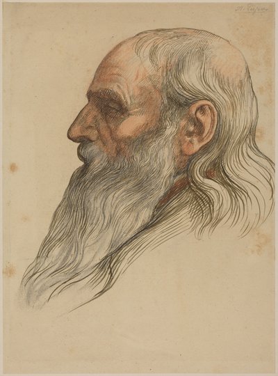 Studie eines Männerkopfes mit vollem Bart von Alphonse Legros