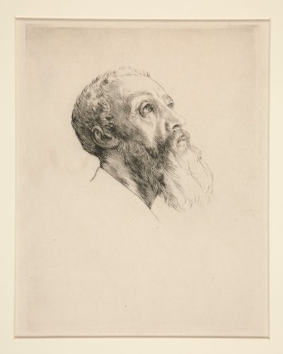 Kopf eines Modells von Alphonse Legros