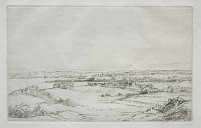 Die Wiese am See von Alphonse Legros