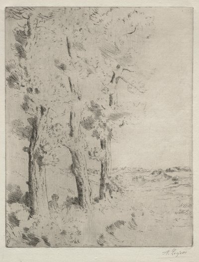 Der Leser: Die Vorlesung unter den Bäumen, um 1882 von Alphonse Legros