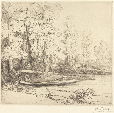 Bäume am Wasser Les arbres au bord de l