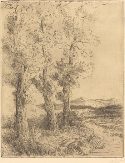 Frau beim Lesen: Lektion unter den Bäumen von Alphonse Legros