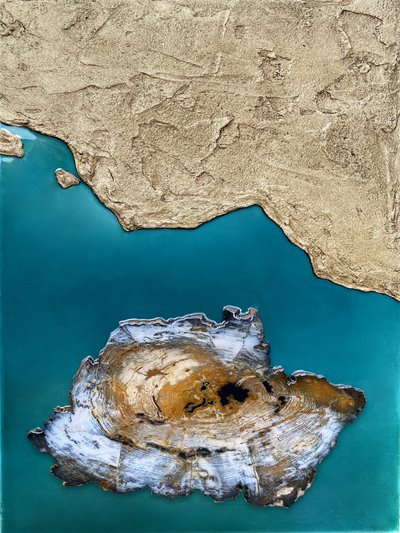 Versteinerte Inselküste von Alyson Storms