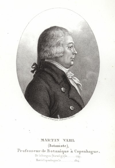 Martin Vahl von Ambroise Tardieu