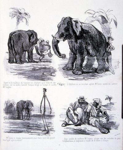 Illustration für Die Kunst des Zunehmens und Abnehmens von Amédée de Noé