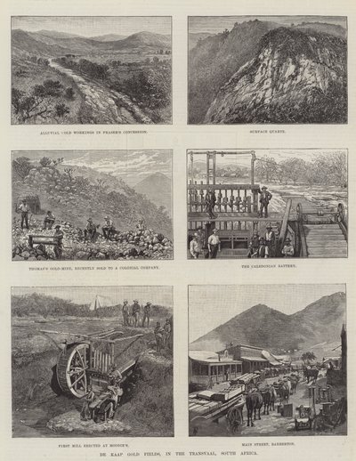 Die Kaap-Goldfelder, im Transvaal, Südafrika von Amedee Forestier