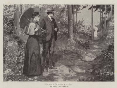 Mr. Bilsons Haushälterin, von Bret Harte von Amedee Forestier