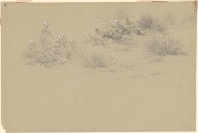 Blühender Busch und Wüstenpflanzen von American 19th Century after John Frederick Kensett