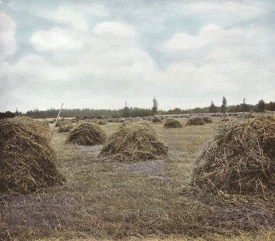 Oregon: Alfalfa (Foto) von American Photographer (after)
