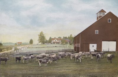 Oregon: Milchfarm im Willamette Valley von American Photographer (after)
