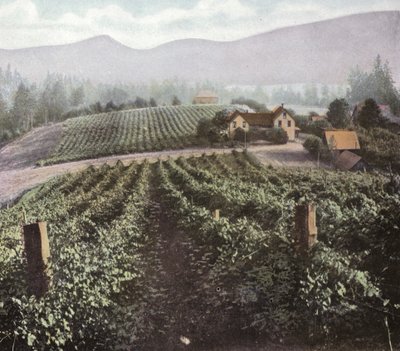 Oregon: Diversifizierte Landwirtschaft im Willamette-Tal von American Photographer (after)