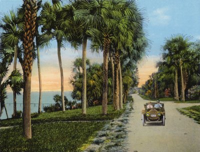 Riverside Drive, Fort Pierce, Florida (Foto) von American Photographer (after)