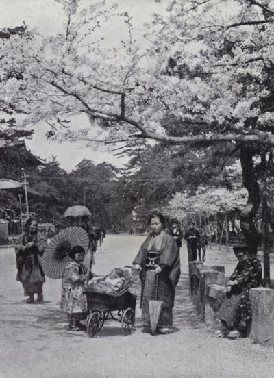 Unter den Kirschblüten im Shiba-Park, Tokio von American Photographer (after)