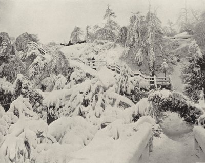 Winterlaub auf Luna Island von American Photographer (after)