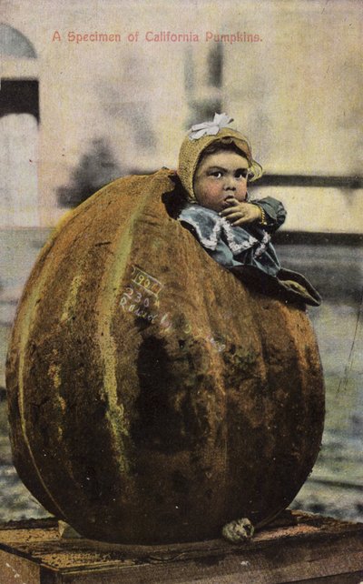 Ein Exemplar kalifornischer Kürbisse von American Photographer