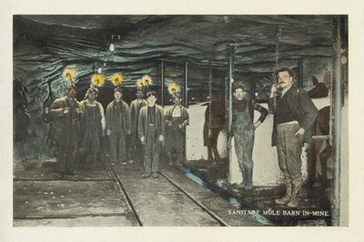 Amerikanischer Kohlebergbau: Sanitärer Maultierstall in der Mine von American Photographer