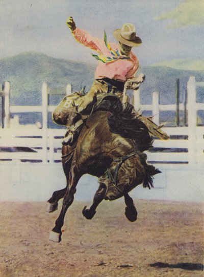 Cowboy bricht ein Pferd ein von American Photographer