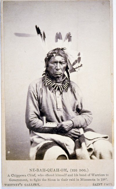 NE-BAH-QUAH-OM, Großer Hund, Chippewa-Häuptling, bot an, in Minnesota gegen die Sioux zu kämpfen von American Photographer