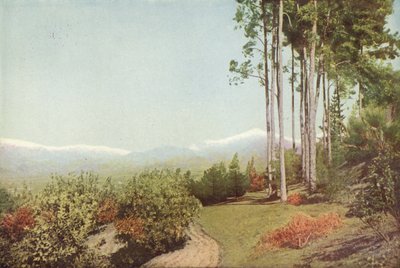 Old Baldy, von Smiley Heights, Kalifornien von American Photographer