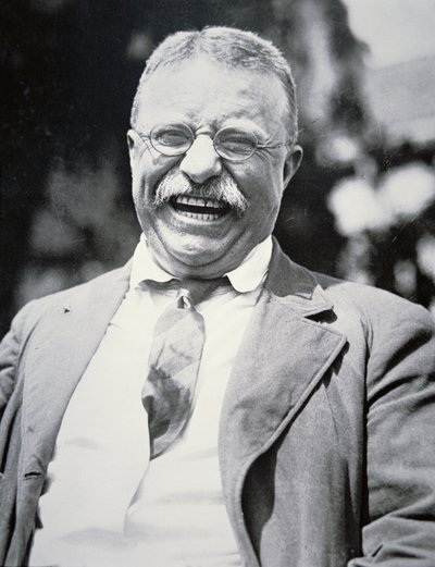 Präsident Theodore Roosevelt, ca. 1917 (s/w Foto) von American Photographer