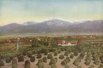Redlands, Kalifornien, Blick von Smiley Heights von American Photographer