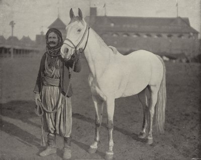 Das preisgekrönte Pferd der Beduinen von American Photographer