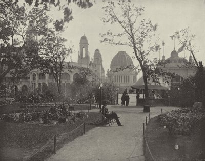 Die bewaldete Insel von American Photographer