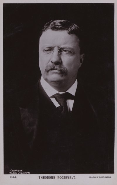 Theodore Roosevelt, amerikanischer Politiker und 26. Präsident der Vereinigten Staaten von American Photographer
