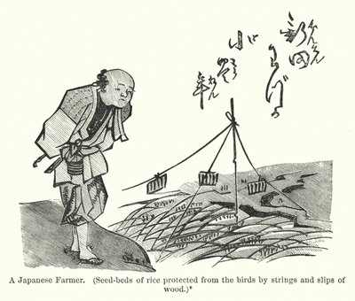 Ein japanischer Bauer, Reissetzlinge vor Vögeln geschützt durch Schnüre und Holzstreifen (Gravur) von American School