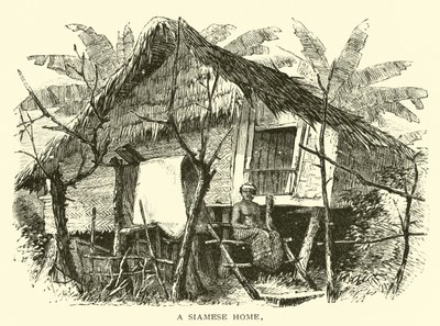 Ein siamesisches Zuhause von American School
