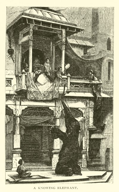 Ein kluger Elefant von American School