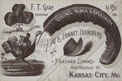 Werbung für F T Gray, Hut- und Haubenbleicher und Federfärber, Kansas City, Missouri, USA von American School