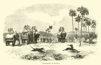 Antilopenjagd von American School
