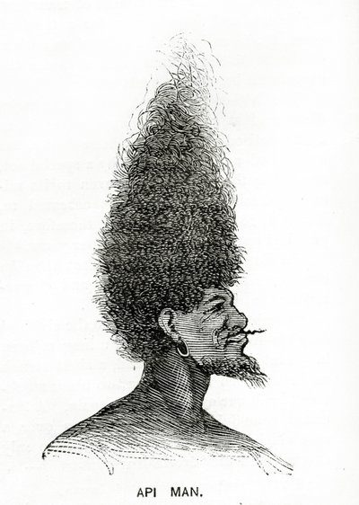 Api-Mann, Illustration aus Appletons Journal, 4. Mai 1872 von American School