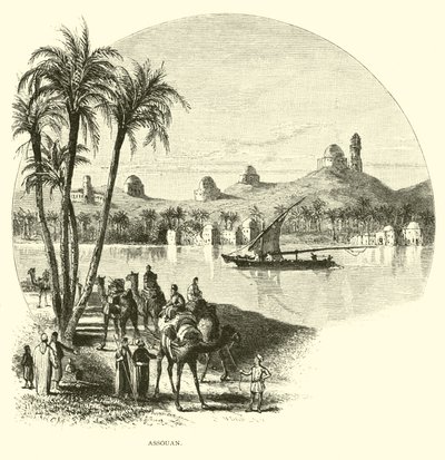 Assuan von American School