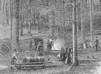 Beim Ahornsirup-Camp, Illustration aus 