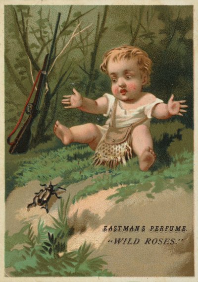 Baby im Wald von American School