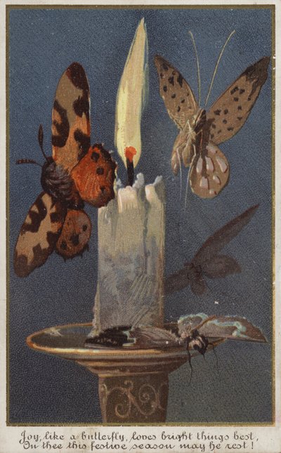 Schmetterlinge um eine brennende Kerze von American School