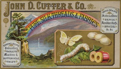 Schmetterling und Raupe von American School