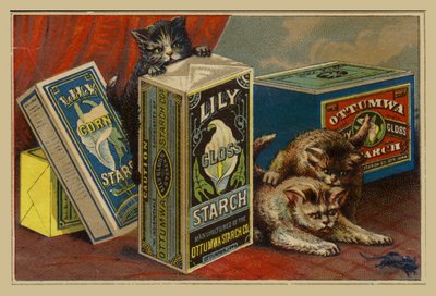 Katzen suchen Maus zwischen Stärkepaketen von American School