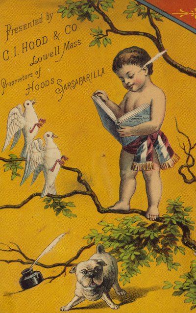 Engel liest Buch im Baum von American School