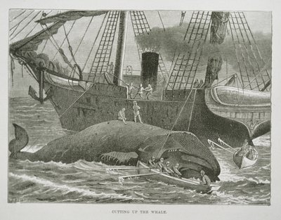 Zerlegen des Wals, aus The American Whale Fishery, ca. 1850 von American School